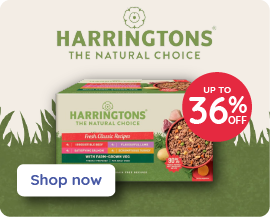 Harringtons dog